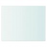 Panel de estante vidrio claro 20x25 cm 2
