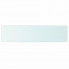 Panel de estante vidrio claro 60x15 cm 2