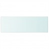 Panel de estante vidrio claro 70x25 cm 2