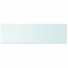 Panel de estante vidrio claro 80x25 cm 2