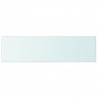 Panel de estante vidrio claro 90x25 cm 2