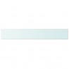 Panel de estante vidrio claro 100x15 cm 2
