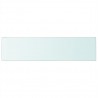 Panel de estante vidrio claro 100x25 cm 2