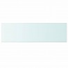 Panel de estante vidrio claro 100x30 cm 2