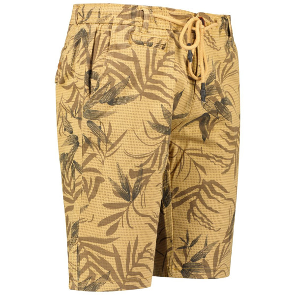 Geographical Norway - PELLEX_233 M 3