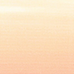 Biombo divisor plegable 120x170 cm París de noche H