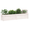 Jardinera de madera maciza de pino blanca 150x31x31 cm 4