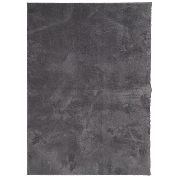 Alfombra de pelo corto suave y lavable gris antracita 240x340cm D