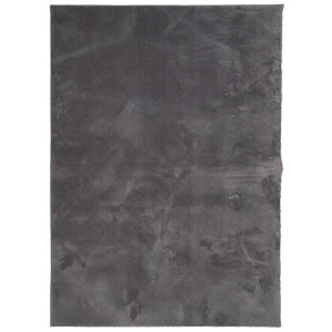 Alfombra de pelo corto suave y lavable gris antracita 200x280cm H