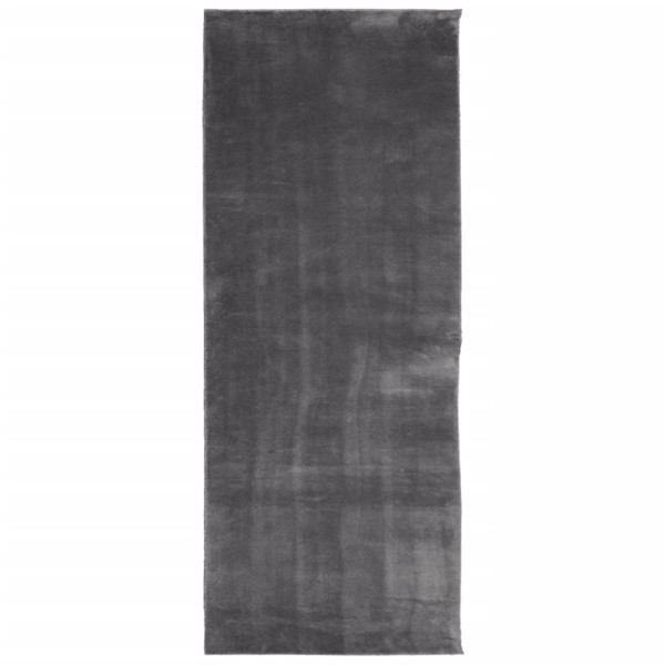 Alfombra de pelo corto suave y lavable gris antracita 80x200 cm M 2