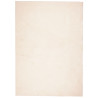 Alfombra de pelo corto suave lavable HUARTE beige 200x280 cm 2