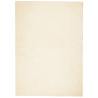 Alfombra de pelo corto suave lavable HUARTE crema 200x280 cm 2