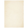 Tapete pelo curto macio e lavável HUARTE 160x230 cm cor creme 2