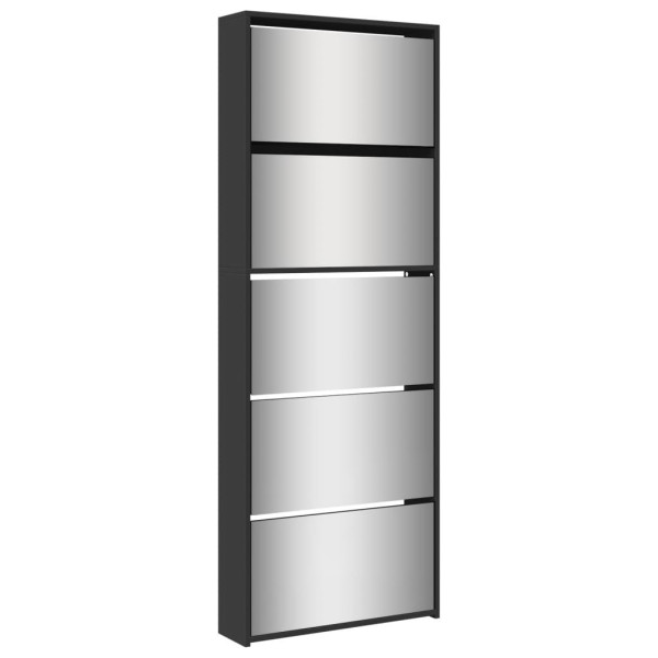 Mueble zapatero con espejo 5 niveles negro 63x17x169.5 cm D