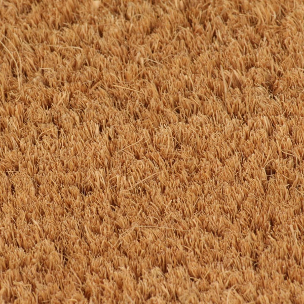 Felpudo de fibra de coco natural 60x90 cm M 4
