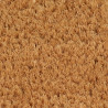 Felpudo de fibra de coco natural 90x150 cm 5