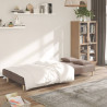 Sofá cama de 2 plazas con dos almohadas tela gris taupe 3