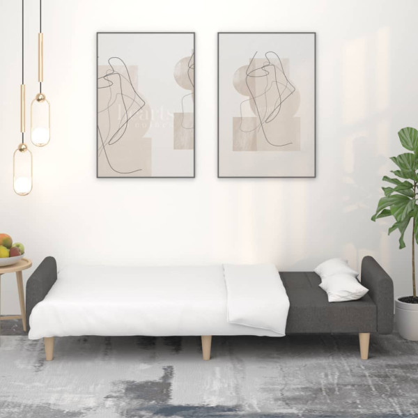 Sofá cama de 2 plazas tela gris oscuro M 3