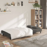 Sofá cama de 2 plazas con dos almohadas terciopelo gris oscuro 3