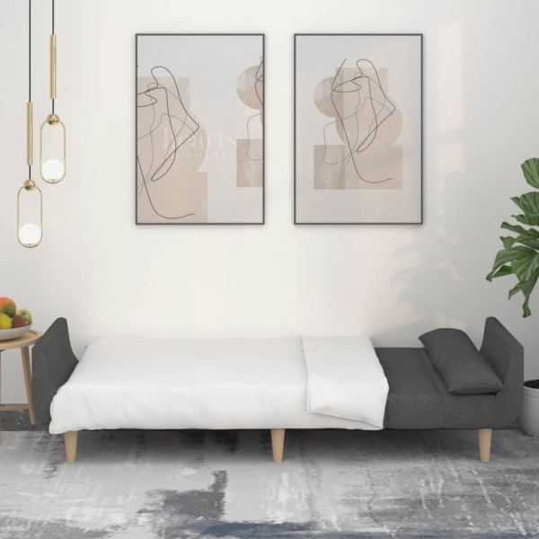 Sofá cama de 2 plazas con dos almohadas tela gris oscuro M 3