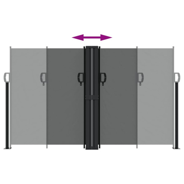 Toldo lateral retráctil gris antracita 140x1000 cm M 5