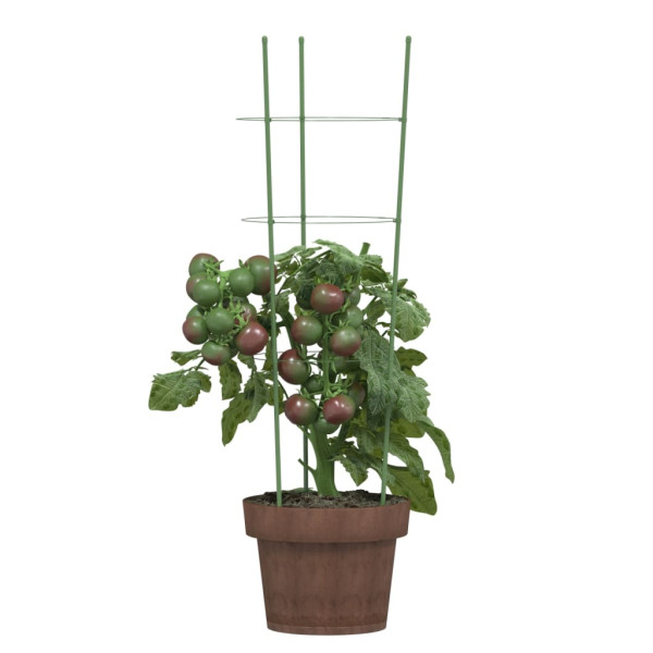 Suportes p/ plantas de jardim c/ 3 anéis 5 pcs 60 cm aço verde M 3