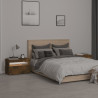 Mesitas de noche con luces LED 2 uds roble ahumado 60x35x40 cm 4