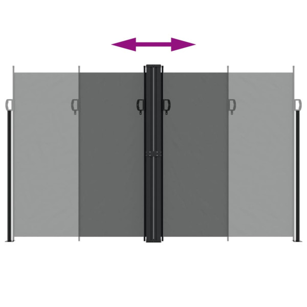 Toldo lateral retrátil 200x1000 cm antracite M 5