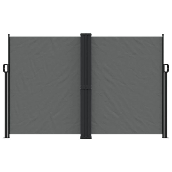 Toldo lateral retráctil gris antracita 160x1000 cm M 3