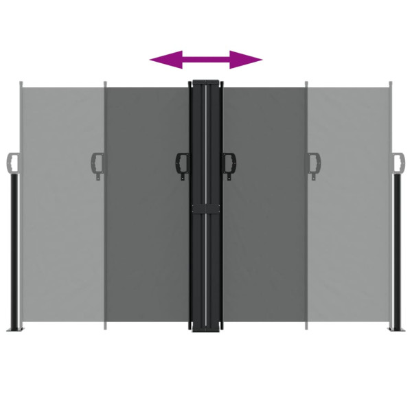 Toldo lateral retrátil 160x1000 cm antracite M 5