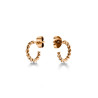 PENDIENTES ROSEFIELD MUJER ROSEFIELD JTSPRG-J428 2CM 1