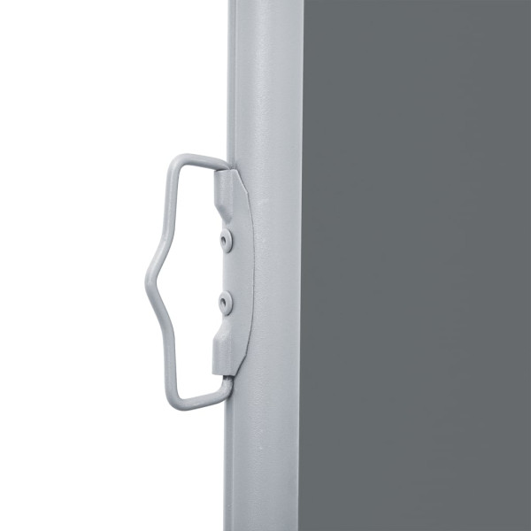 Toldo lateral retráctil gris antracita 120x1000 cm M 5