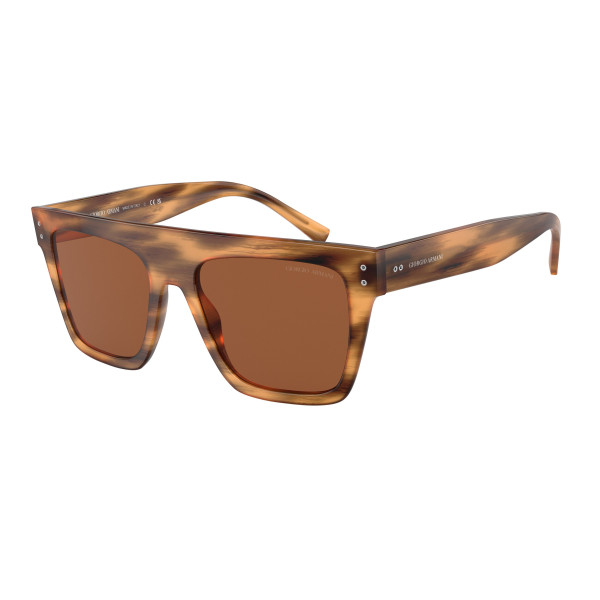 GAFAS DE SOL GIORGIO ARMANI UNISEX  AR8177-592173 D