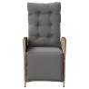Sillón reclinable jardín reposapiés 2 uds ratán PE beige mezcla 5