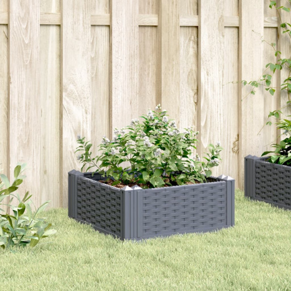 Jardinera con clavijas PP gris 42.5x42.5x28.5 cm M 3