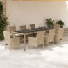 Set comedor jardín 9 pzas cojines ratán sintético vidrio beige 1