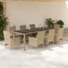 Set comedor jardín 9 pzas cojines ratán sintético vidrio beige 1