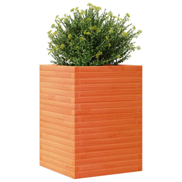 Jardinera madera maciza de pino marrón cera 50x50x68.5 cm M 4