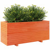 Jardinera madera maciza de pino marrón cera 110x40x49.5 cm 4