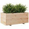 Jardinera madera maciza de pino 110x60x49.5 cm 4