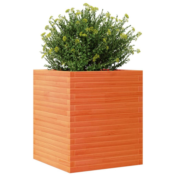 Jardinera de madera maciza de pino marrón cera 60x60x68.5 cm M 4