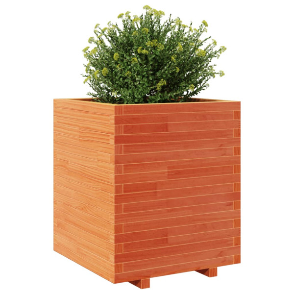 Jardinera madera maciza de pino marrón cera 60x60x72.5 cm M 4
