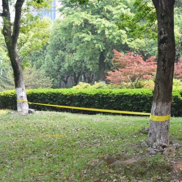 Slackline 15 m x 50 mm 150 kg amarela M 2