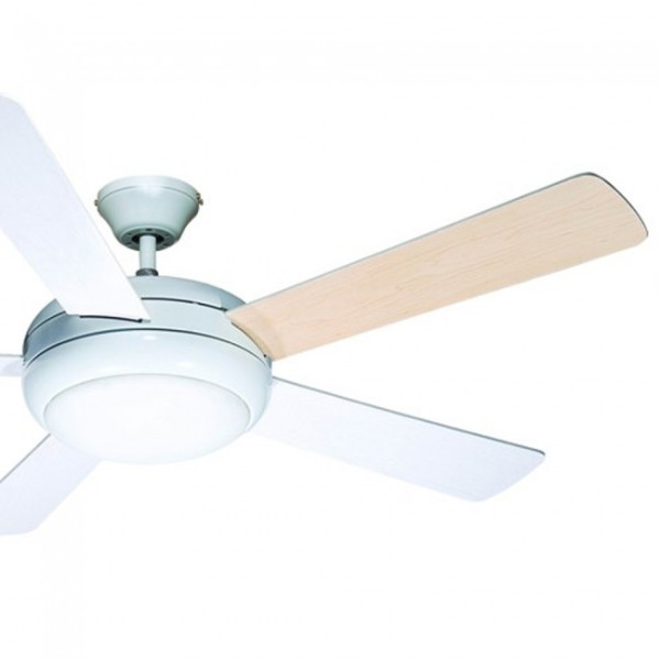 Fã Conte Blanco M 4