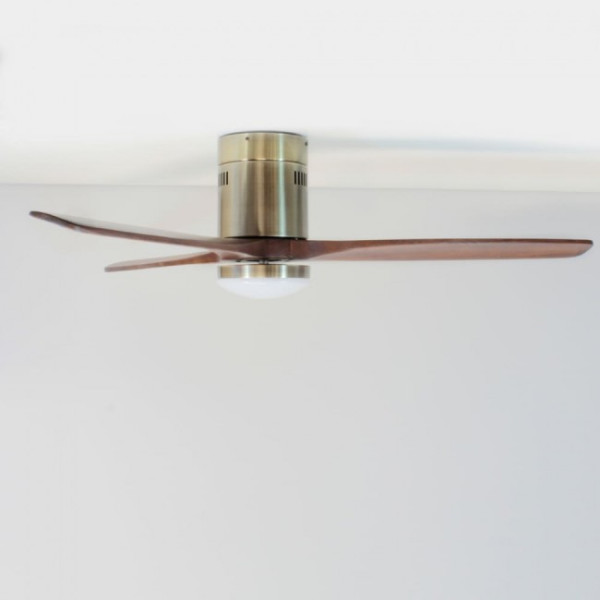 Ventilador de teto Won II CCT LED (15W) M 5