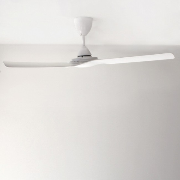 Ventilador de techo exterior Wilson M 5