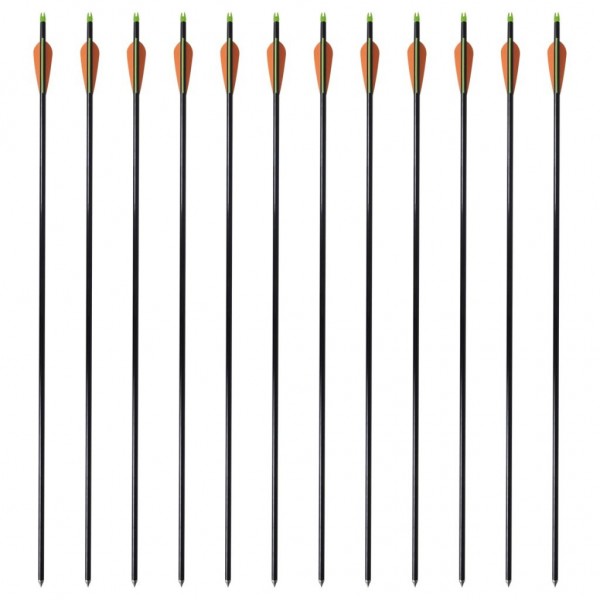 Flechas de arco 12 uds compuesto estándar de fibra de vidrio M 2