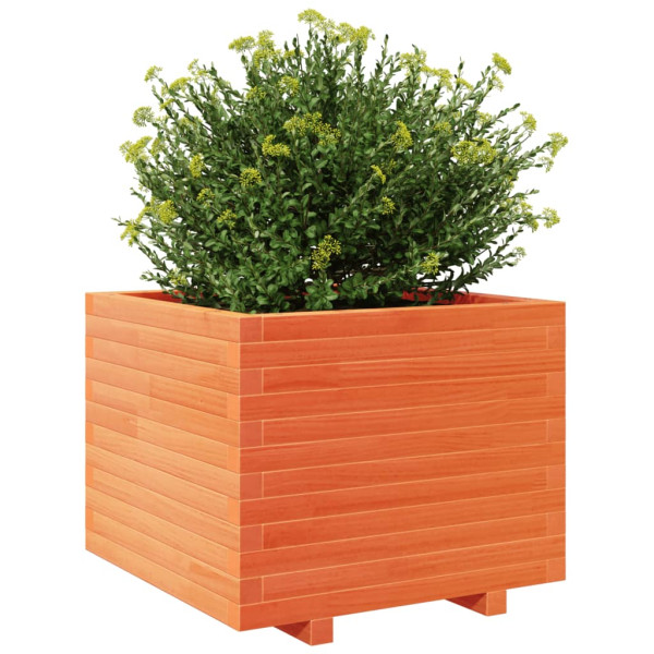 Jardinera madera maciza de pino marrón cera 60x60x49.5 cm M 4