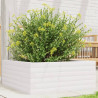 Vaso/floreira de jardim 60x60x23 cm madeira pinho maciça branco 1
