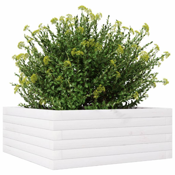 Vaso/floreira de jardim 60x60x23 cm madeira pinho maciça branco M 4